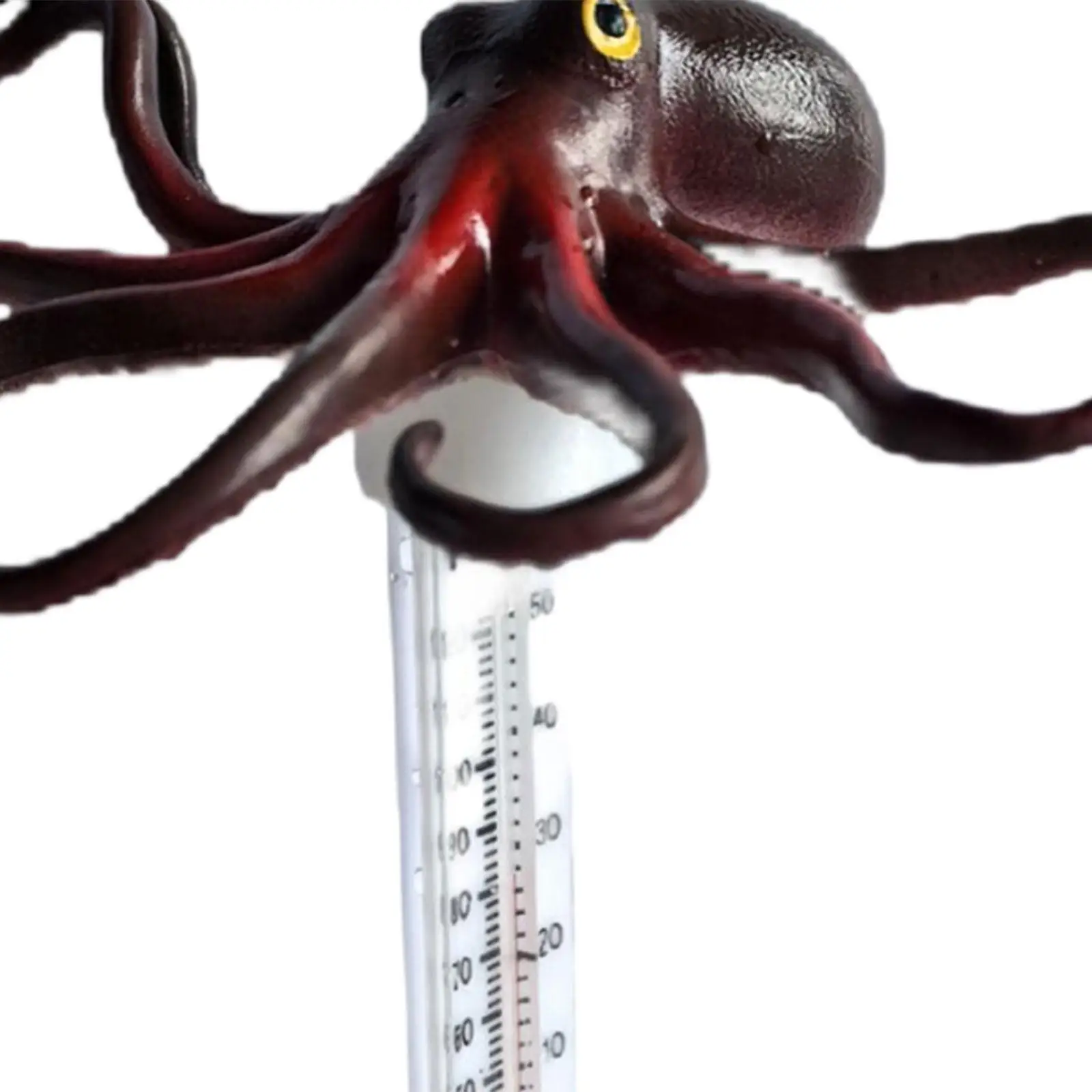 Termometro per piscina galleggiante con ampio display analogico per la temperatura dell'acqua