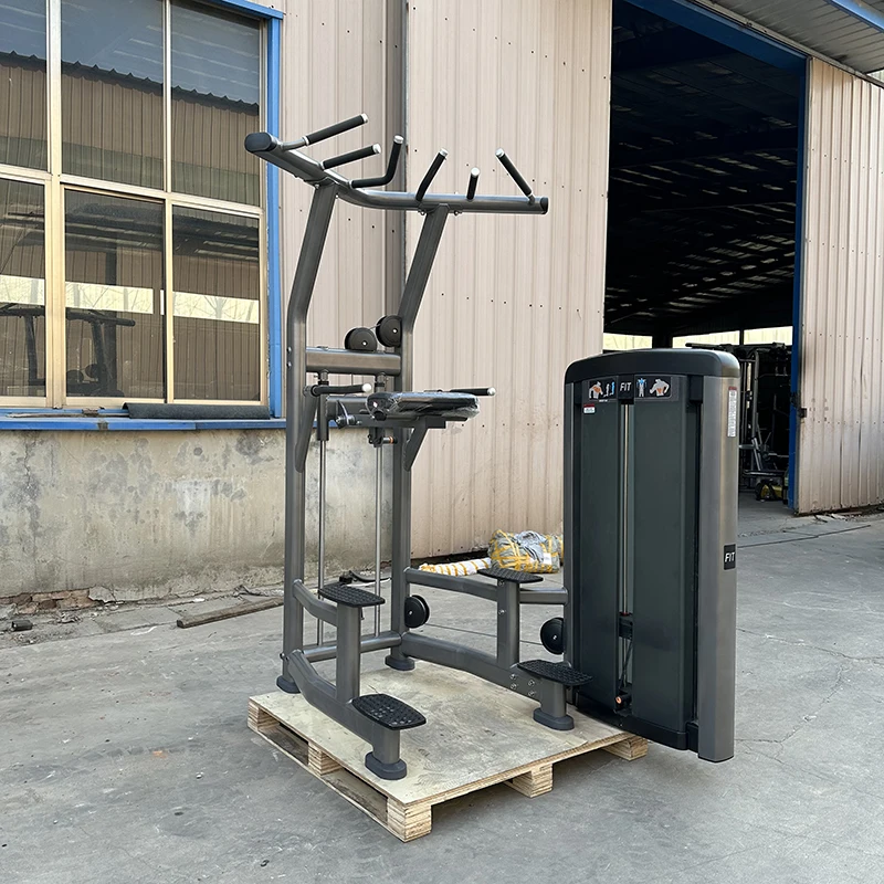 Commercial Pin Loaded Selection Dip Chin Assist Machine Pull up Chin up Assisted Machine