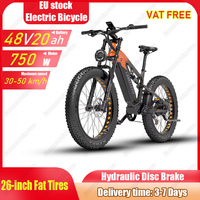 RV800PLUS Aldult E Bike 750W Motor 48V20Ah Lithium Battery Electric Bicycle 26-inch Fat Tires Hydraulic Disc Brake Electric Bike
