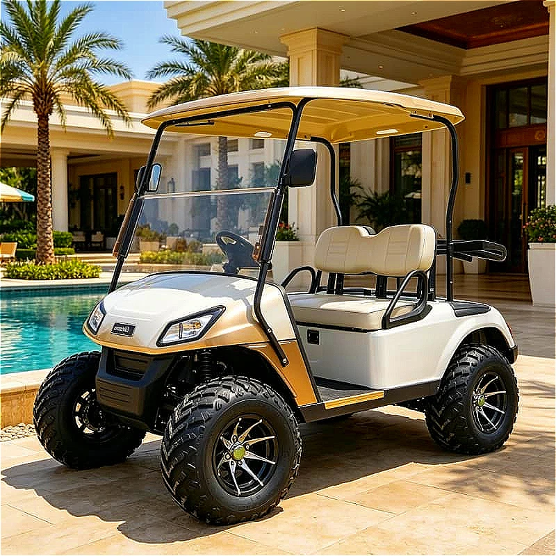 Utility Dune Buggy 300cc 4x4 Gas Powered Off Road Vehicle Winch Tow Hitch For Work Recreation Customized