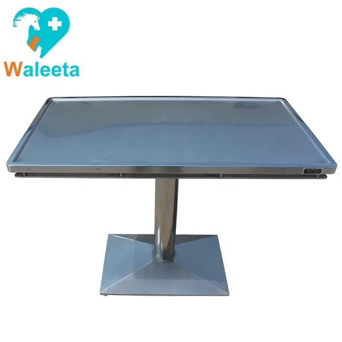 Veterinary equipment WT-24 Stainless steel new type column pet examination treatment table veterinary surgical operation table