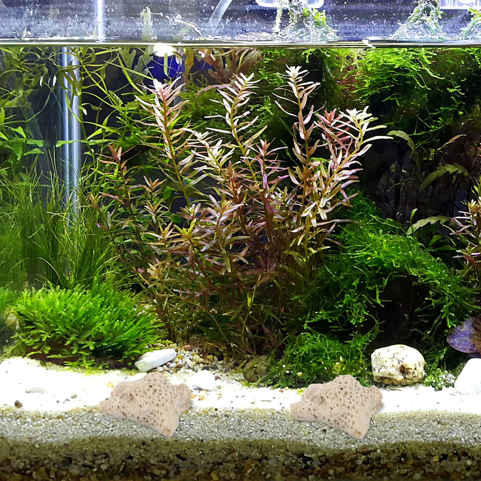 

Crushed Coral Fish Tank Decoration Natural Coral Bone Medium Size Aquarium Filter Media Stones Fish Tank Decoration