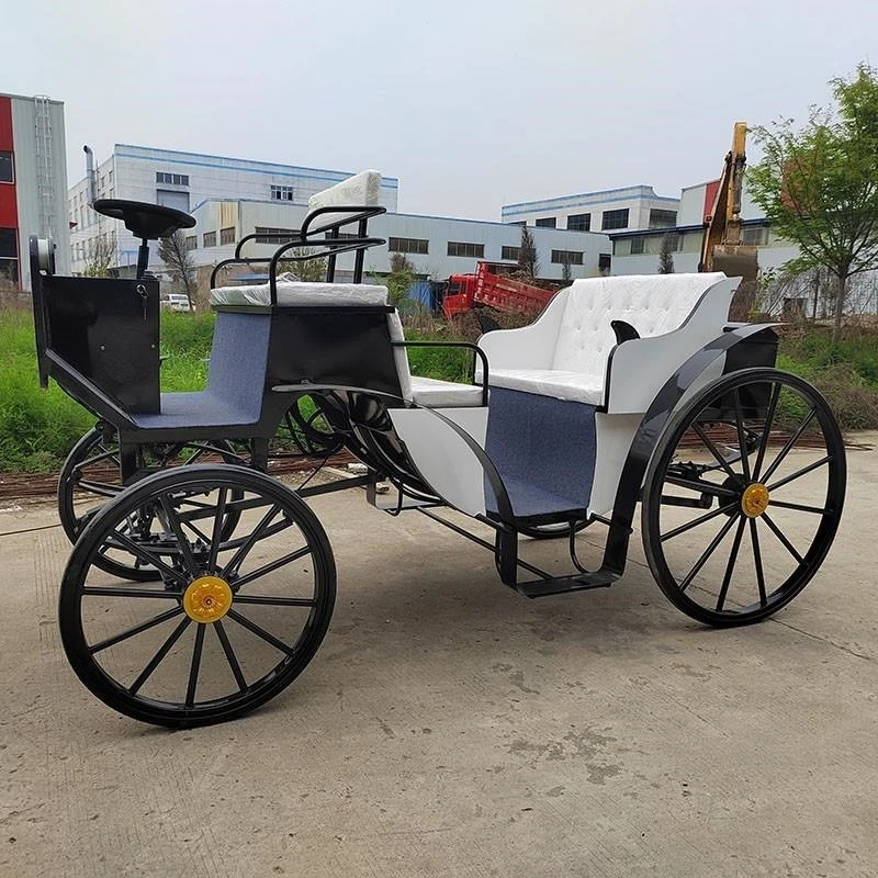Electric carriage wind sightseeing double row six seats, scenic wrought iron carriage sightseeing four-wheeler