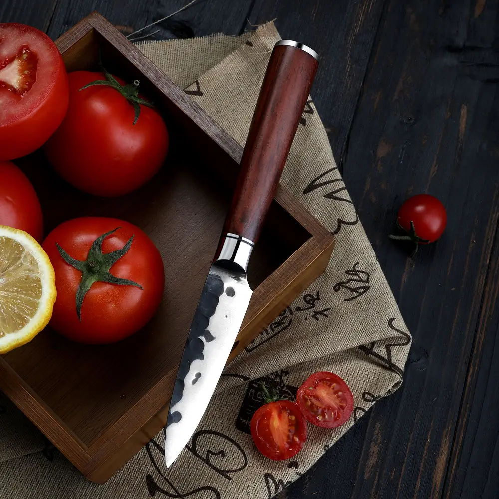 Sharp Fruit KnifeHandmade Stainless Steel Knife Full Tang Non-stick Pattern Blade Tool - Fruit Carving Knife With Rounded Edges