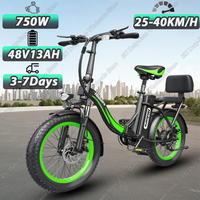 HD-C1 Electric Bike 750W Motor 48V13AH Lithium Battery Urban Commuter Ebike 20*3.0 Inch Tire Adult Foldable Electric Bicycle