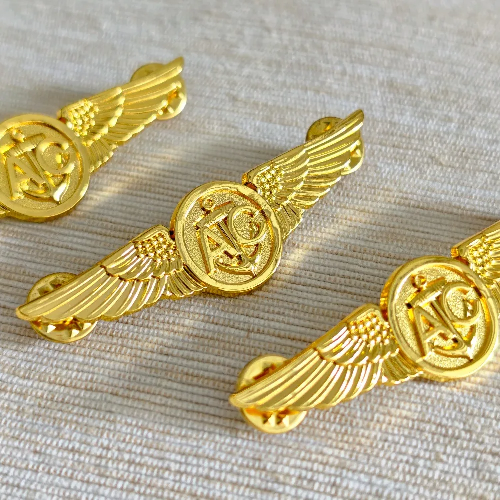 1PC Military Enthusiast Collection Personalized Accessory Golden and Silvery Wing Badge Brooch
