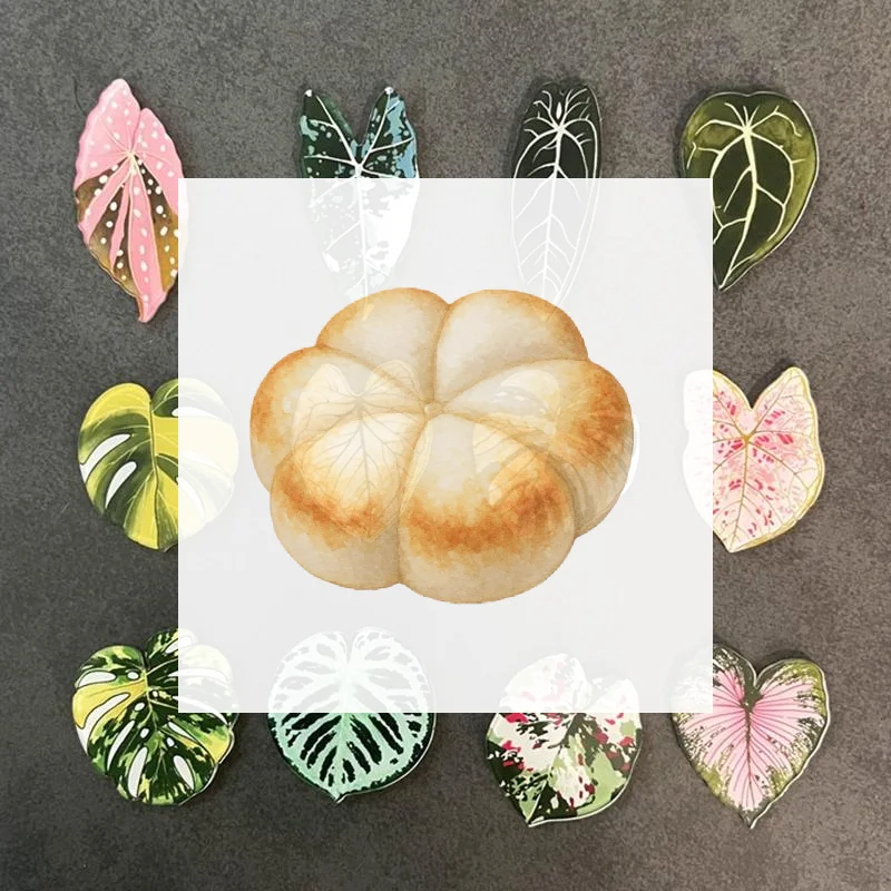 12 Pieces Begonia Monstera Refrigerator Magnets Aesthetic Plant Themed Durable Decor for Home Kitchen Housewarming Gift