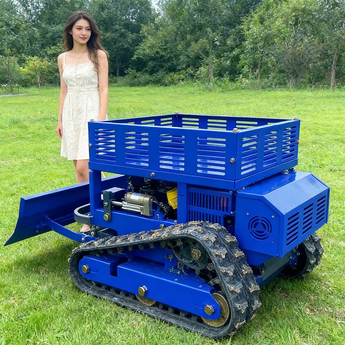 Customized Lawn Mow…