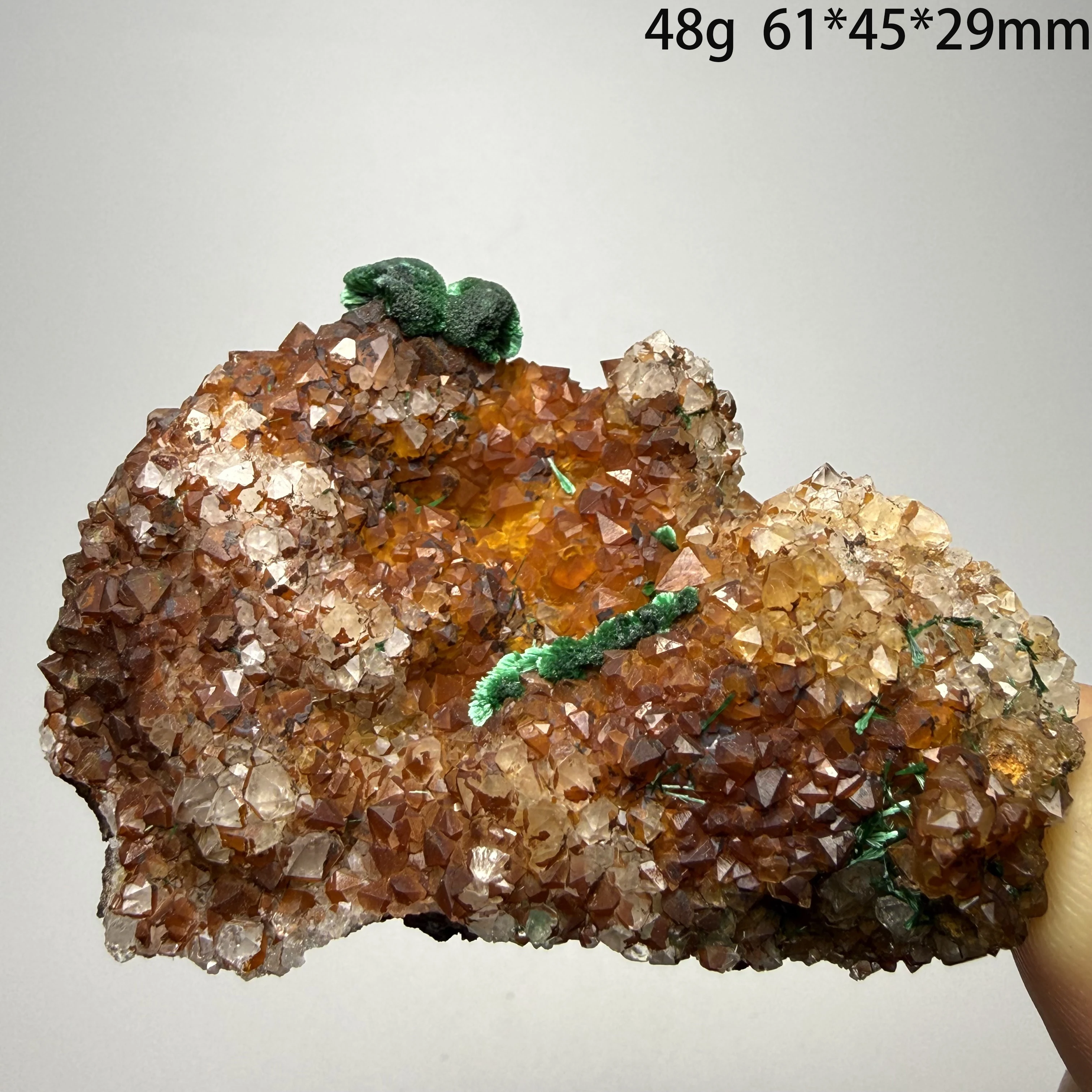 Natural Unique Malachite and Azurite Crystal Co-mineral Specimen, Energy Healing Stone for Home Decor and Gifts A1-1-9