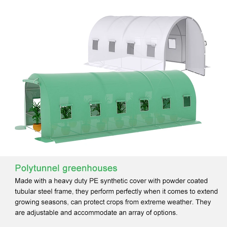 Qualified poly tunnel greenhouse portable backyard tunnel greenhouse for plants