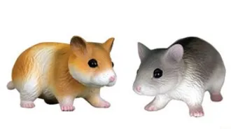 Japanese Bandai Genuine Gacha Scale Model Zoo Cat Hamster Spiny Shark Chameleon Fox Duck Tabletop Decoration Action Figure Toys