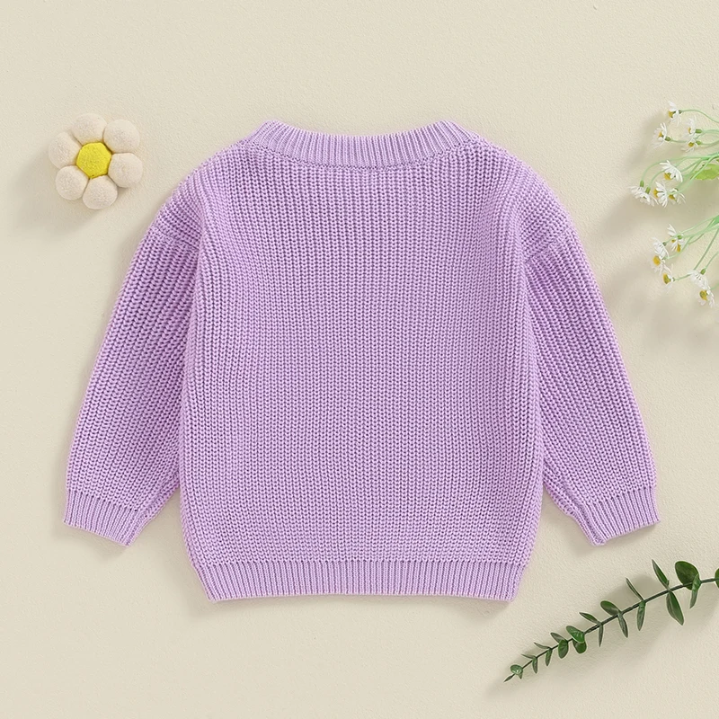 Toddler Baby Girl Boy Knitted Sweater Big Sister Pullover Sweatshirt Chunky Sweaters Sister Matching Outfit