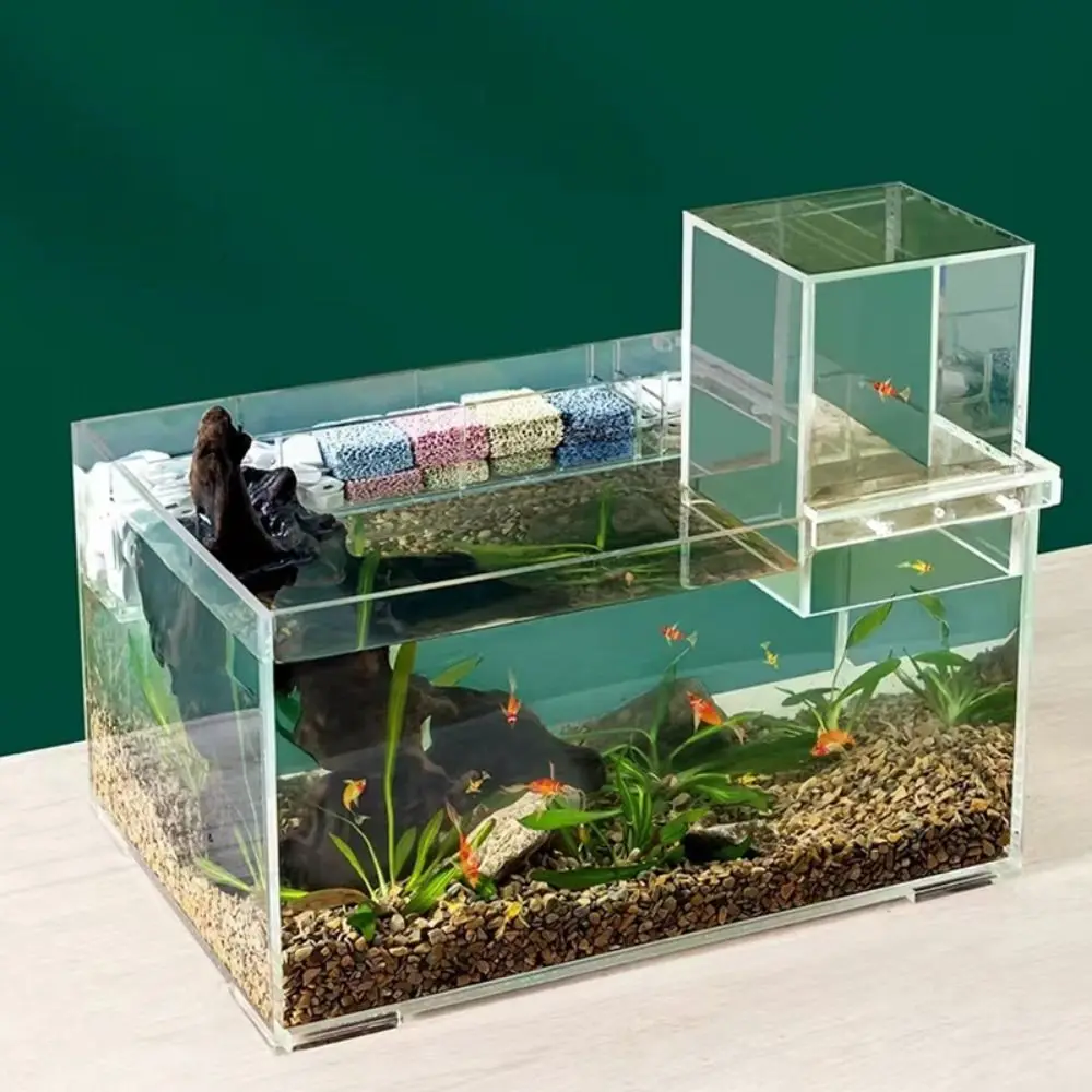 

Landscaping Negative Pressure Fish Tank Easy to Install Unique Acrylic Suspended Fish Tank Eye-catching