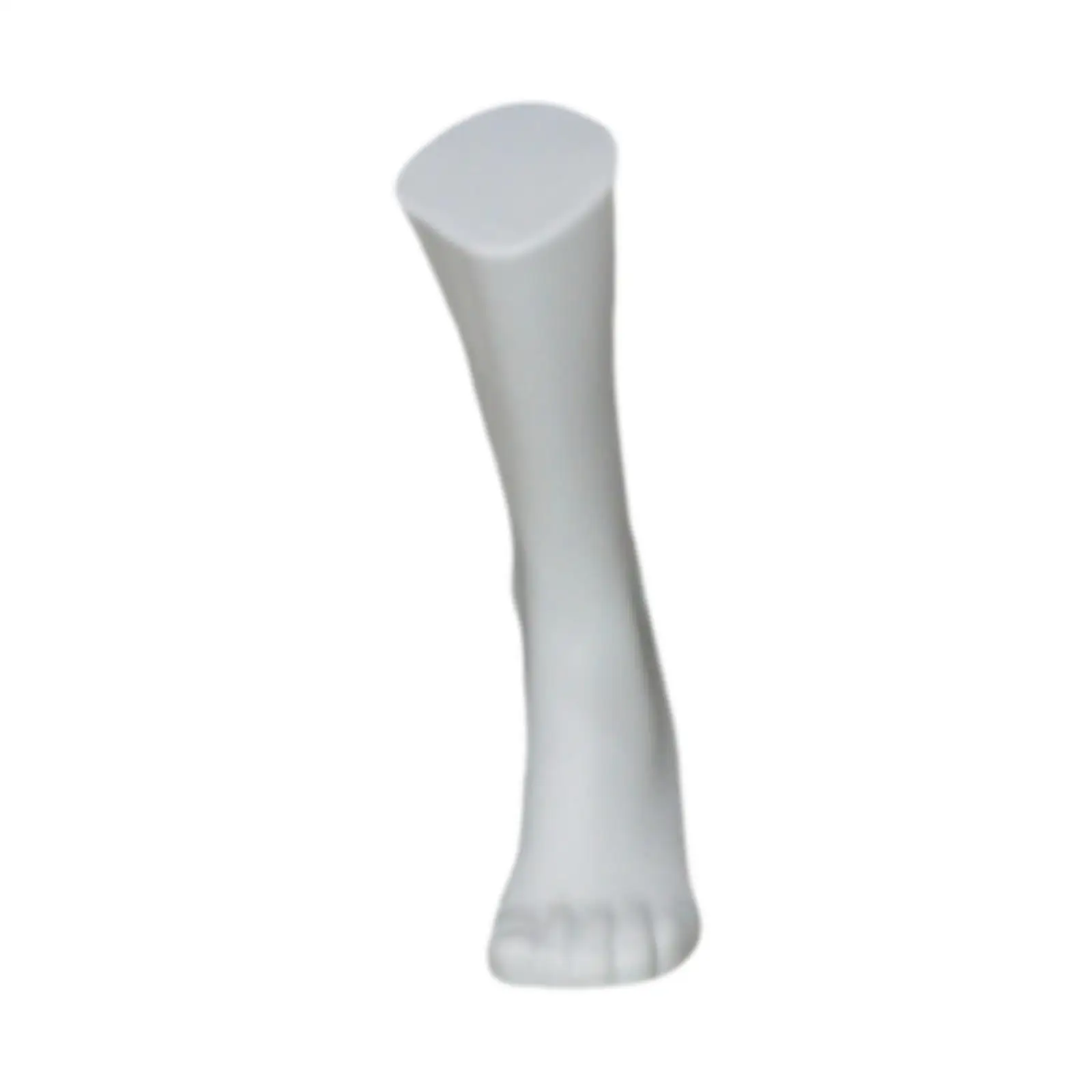 Lightweight Male Mannequin Foot Model Magnetic Sock Display Prop for Shop Mall Visual Merchandising