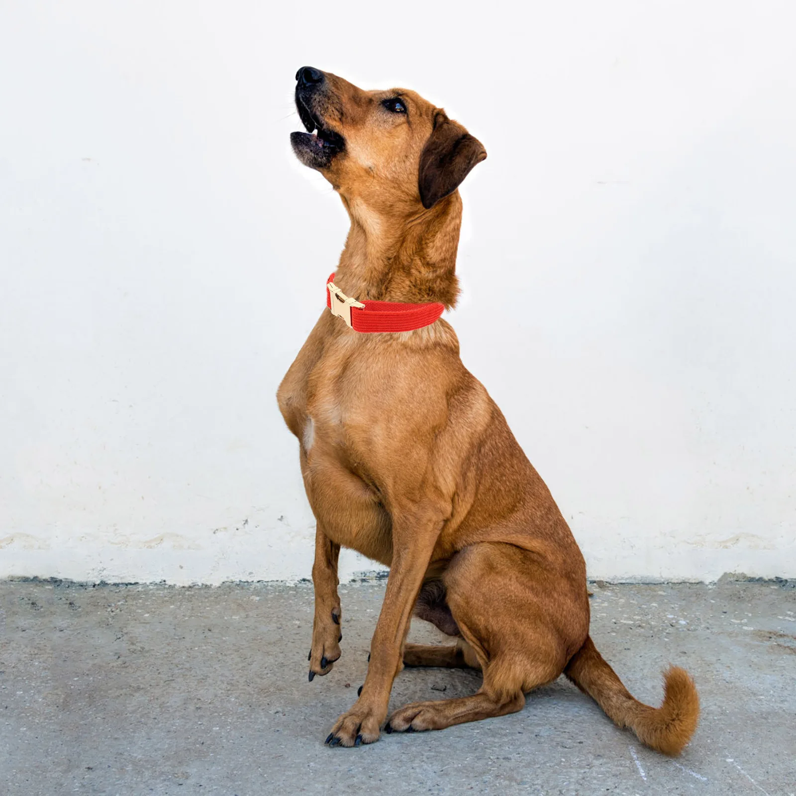 Pet Collar Adjustable Cloth Dog Neck Circle Durable Buckle Design Small Medium Puppy Collars Outdoor Decorative Accessory