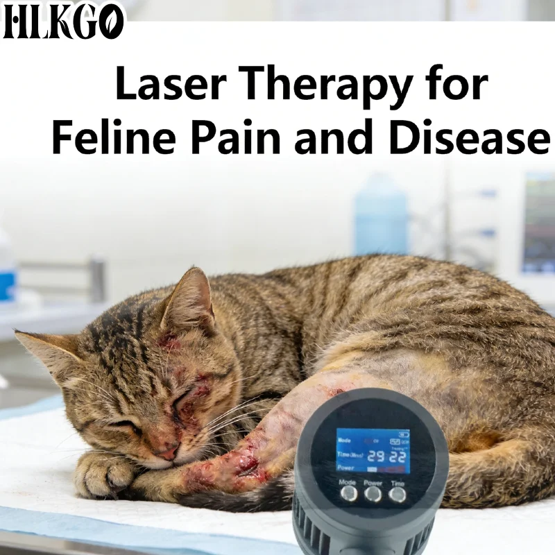 

Лазерное терапевтическое оборудование HLKGO Advanced 5W, 808 нм, 650 нм, медицинского класса, для лечения дисплазии тазобедренных суставов у собак, хромоты у лошадей, боли у кошек
