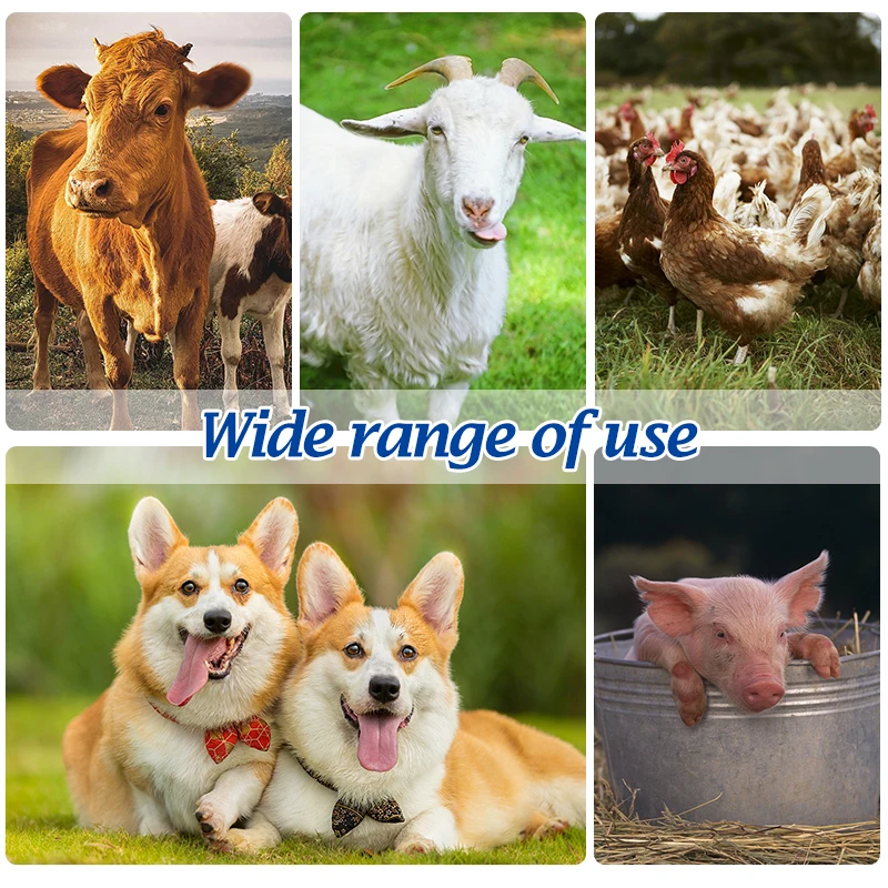 High Precision Metal Continuous Syringe Pig Chicken Vial Syringe Sheep Syringe Vaccine Syringe Veterinary Equipment