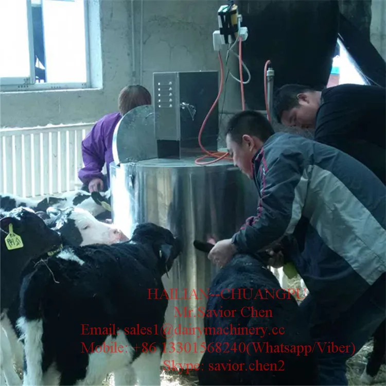 Steel Calf Feeding Equipment , Milk Feeder 150 Liter Capacity