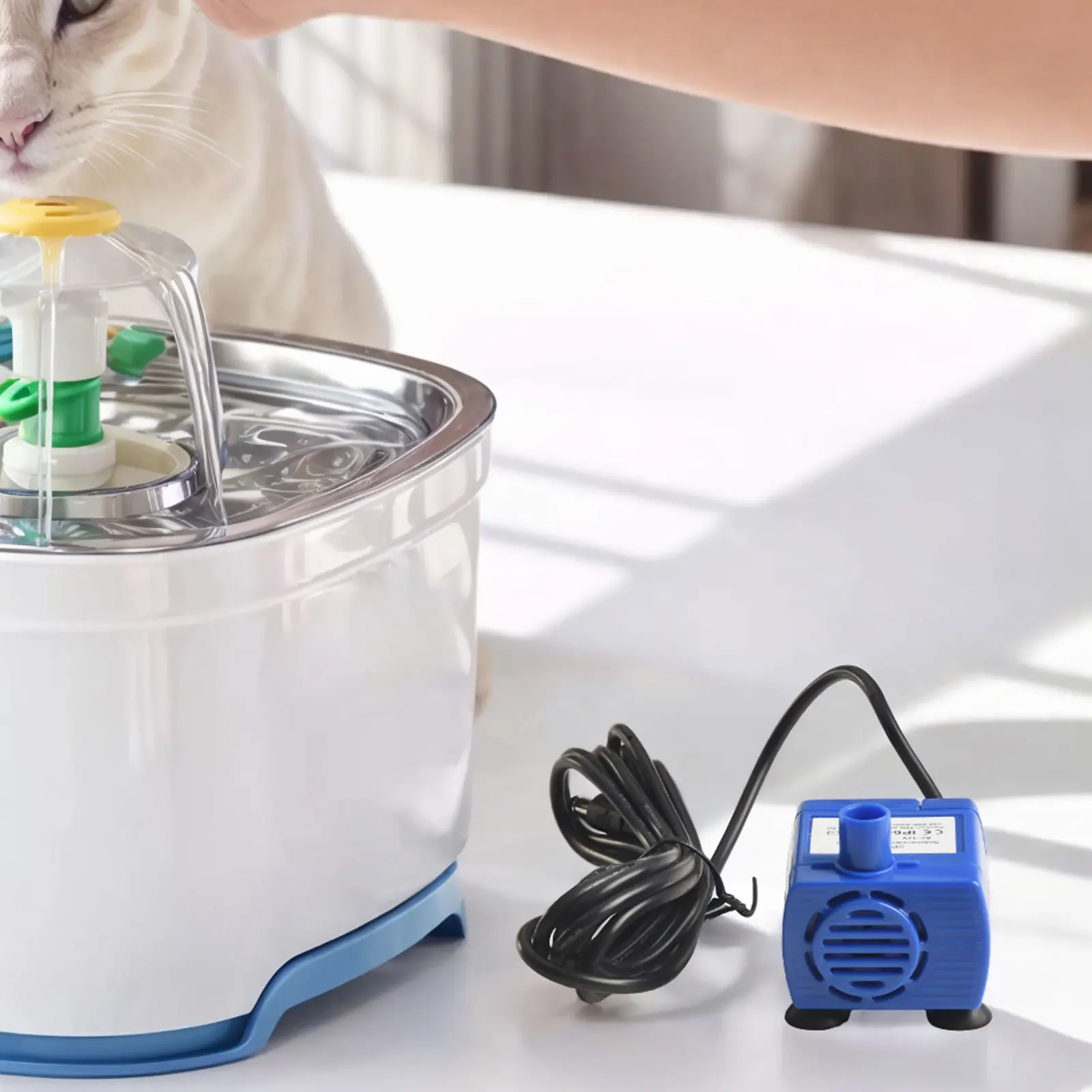 Pompe à eau électrique à faible consommation d'énergie, remplacement pour animal de compagnie, fontaine à eau pour chat et chien, entretien facile