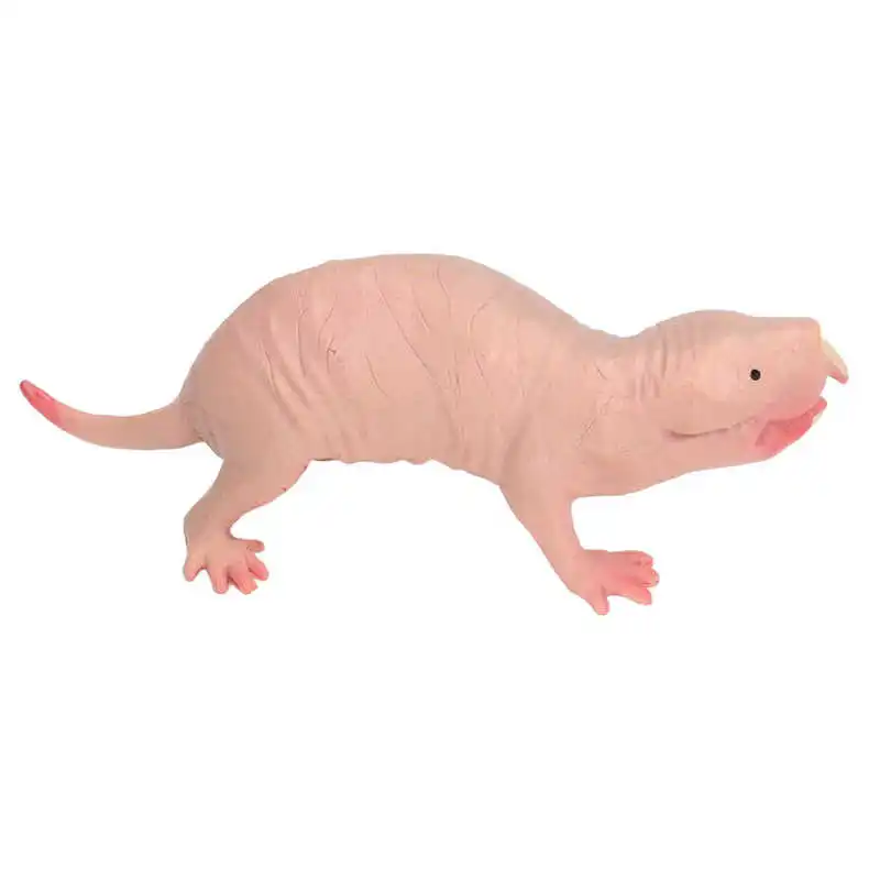 Plastic Mole Figurine Toy Simulation Static Full Core Naked Mole Model for Kids Sand Table Ornaments