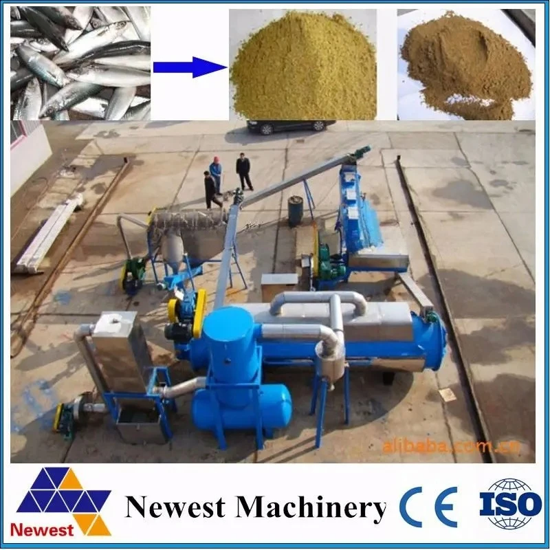 معدات تجهيز وجبات الأسماك 1000 كجم/ساعة/مصنع إنتاج وجبات الأسماك #3