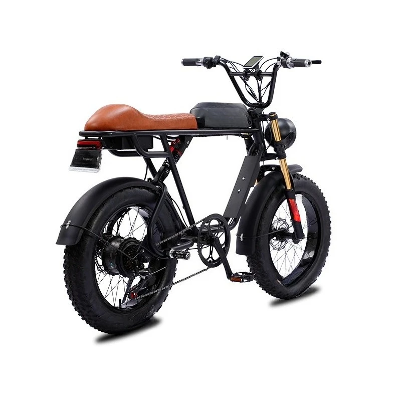 

20 inch soft tail retro off-road mountain bike bicycle variable speed snow assist bicycle