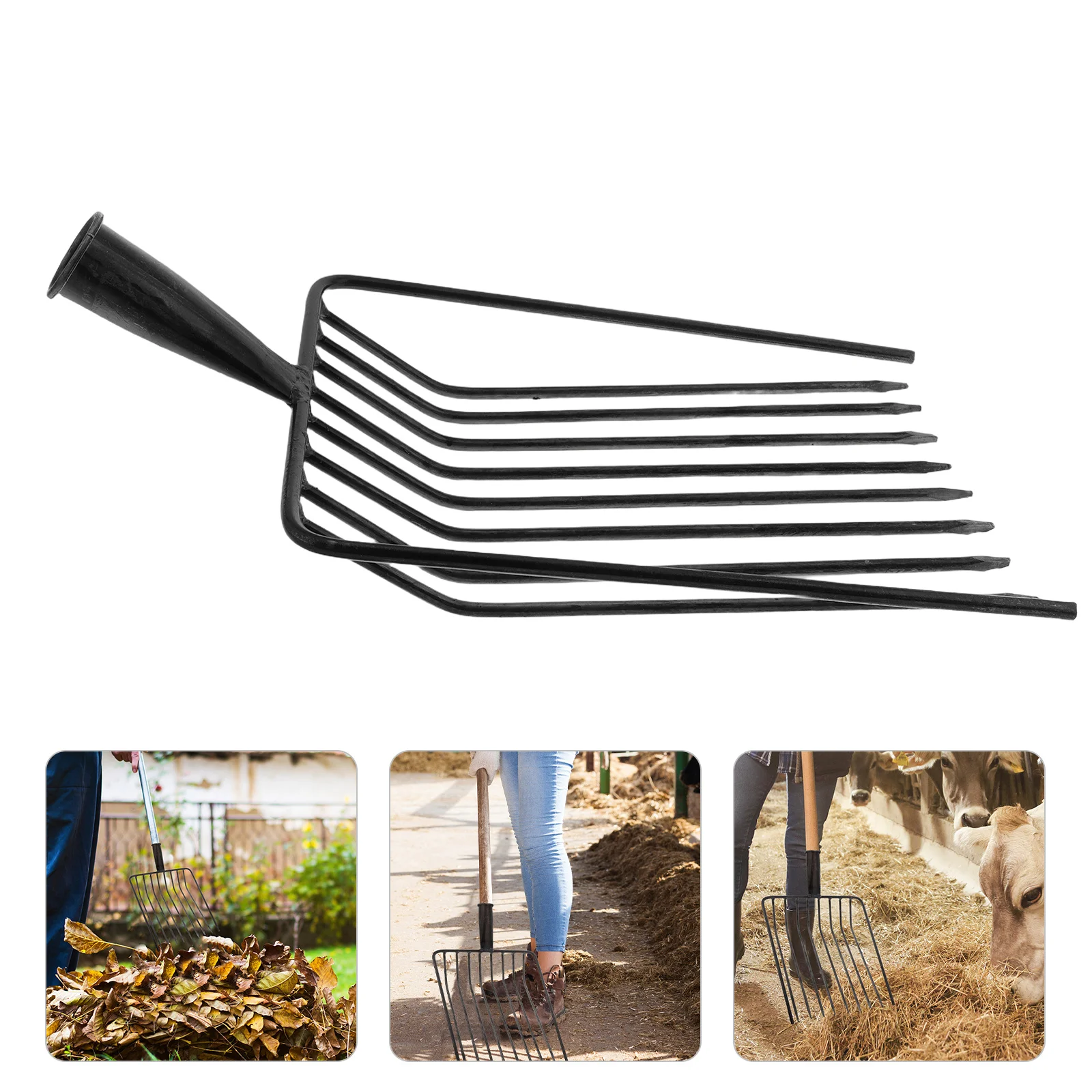 

Heavy Duty Steel Manure Fork Head Replacement for Gardening Lawn Maintenance Agricultural Cultivator Multi Tine Design Efficient
