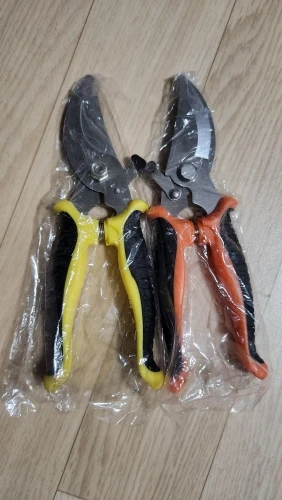 리뷰 사진