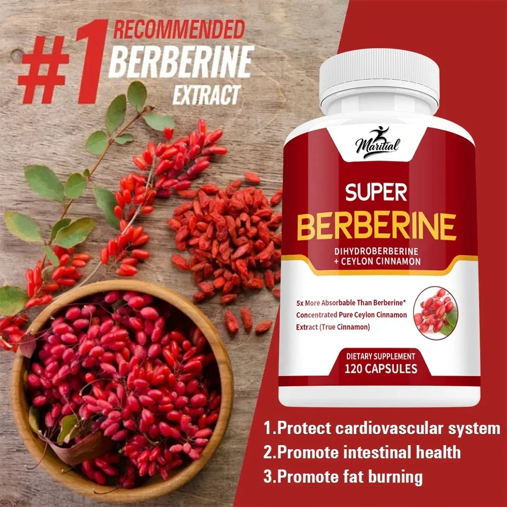 Super Berberine Supplement - Dihydroberberine with Ceylon Cinnamon - 5x More Absorbed - for Digestion, Heart, Adult Men & Women