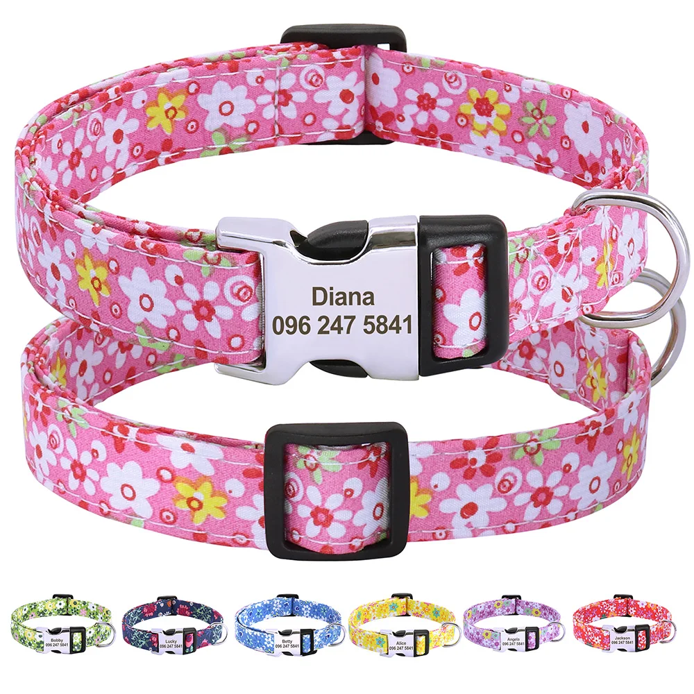 #4 Latest Puppy Collars Updates