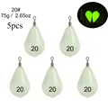 20-5pcs-75g