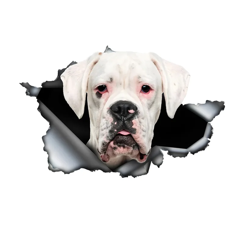 DK462# White Boxer Car Stickers Scratch Blocking Self-Adhesive Waterproof Decal, Used for Car, Laptop, Motorcycle, Van, RV