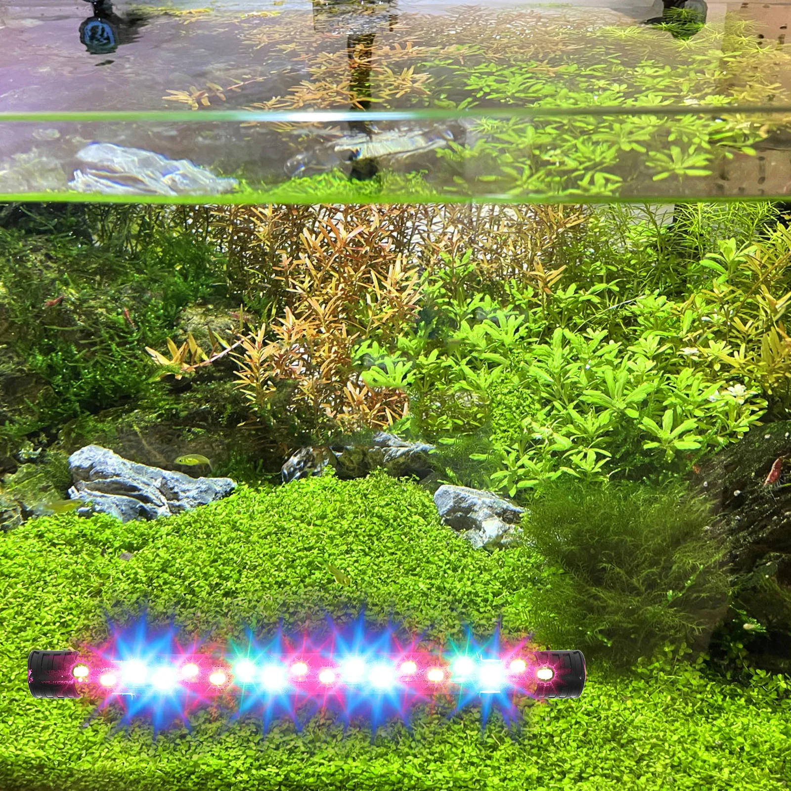 

Fish Tank LED Light High Brightness Aquarium Lighting for Plants Night Black Diving Underwater Decorative Enhancement LED Fish