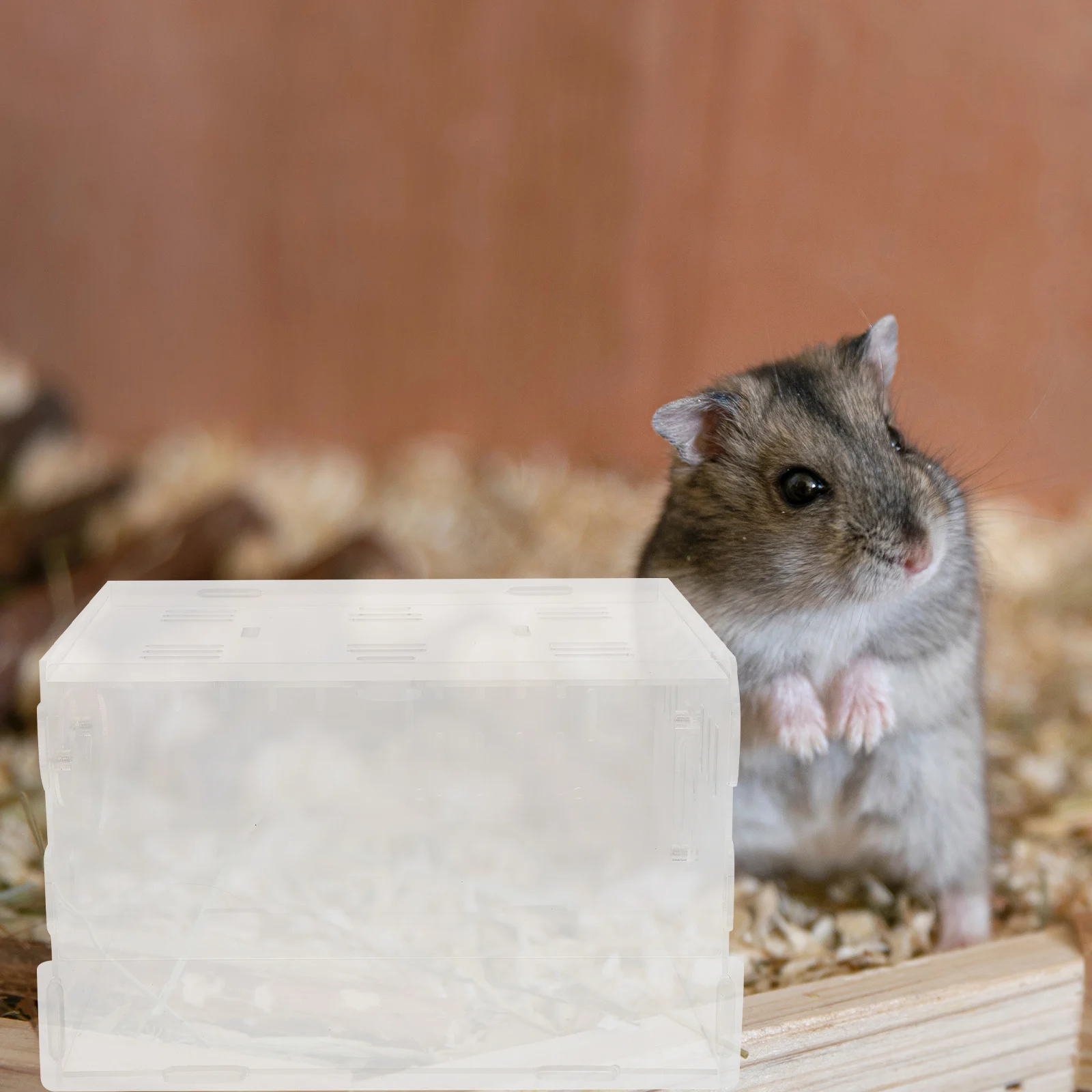 

1pc Acrylic Hamster Transparent House for Guinea Pig Chinchilla Hedgehog Ventilated Durable Playpen Indoor Small for Rodents