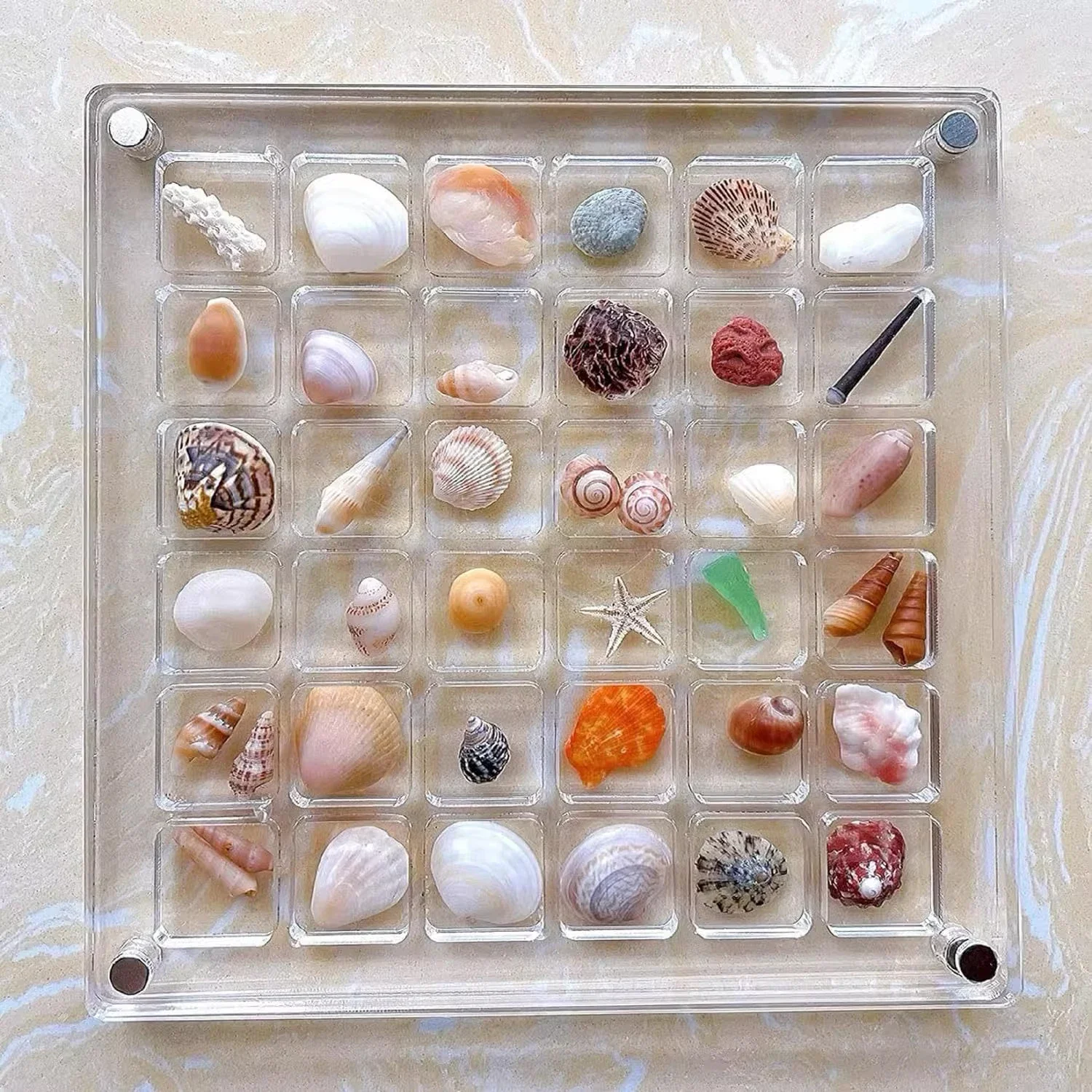 Clear Acrylic Magnetic Seashell Display Boxes Seashell Storage Box Nail Cases Container Organizers Container Stackable Display