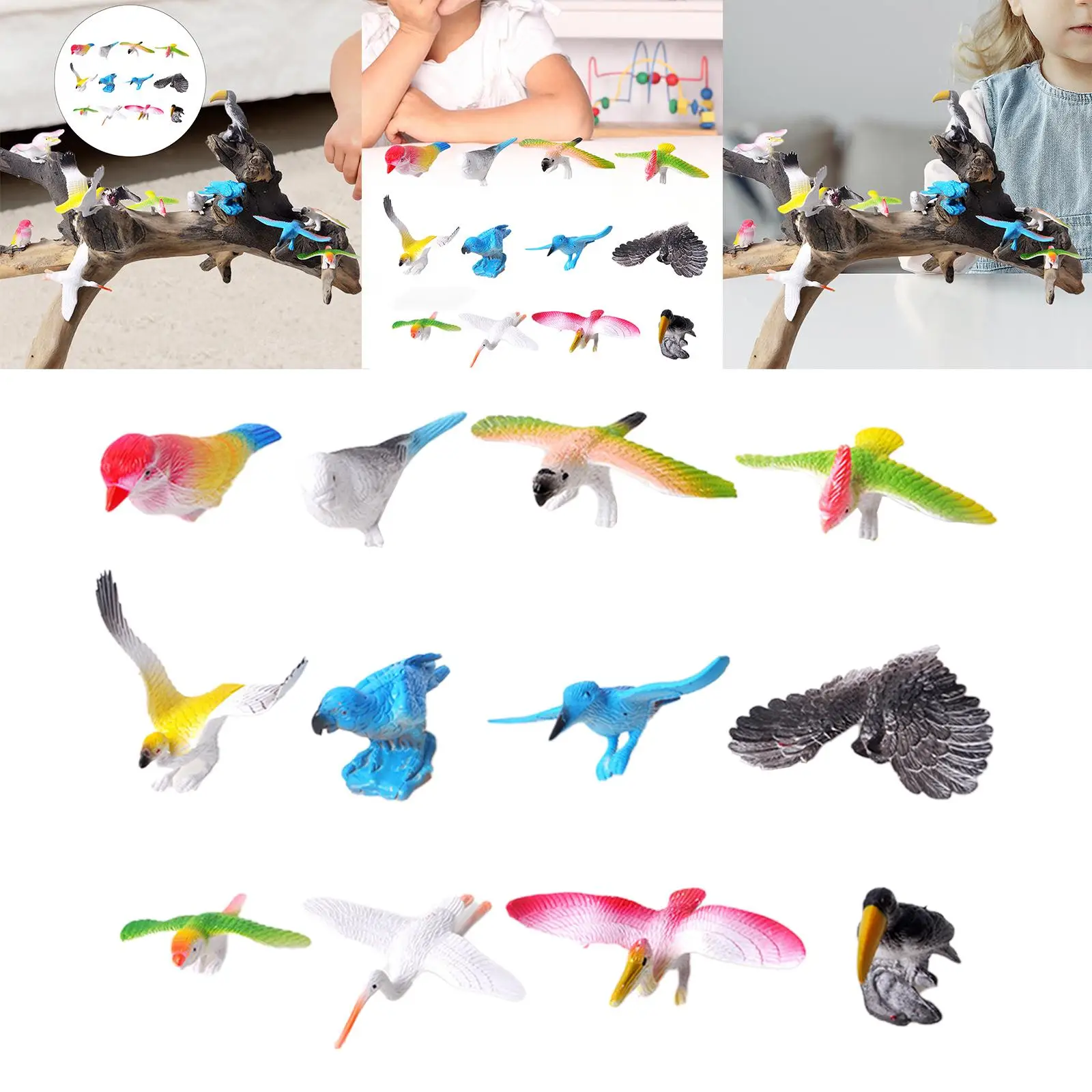 Figurines d'oiseau réalistes, jouet d'apprentissage, cadeau de fête, 12 pièces