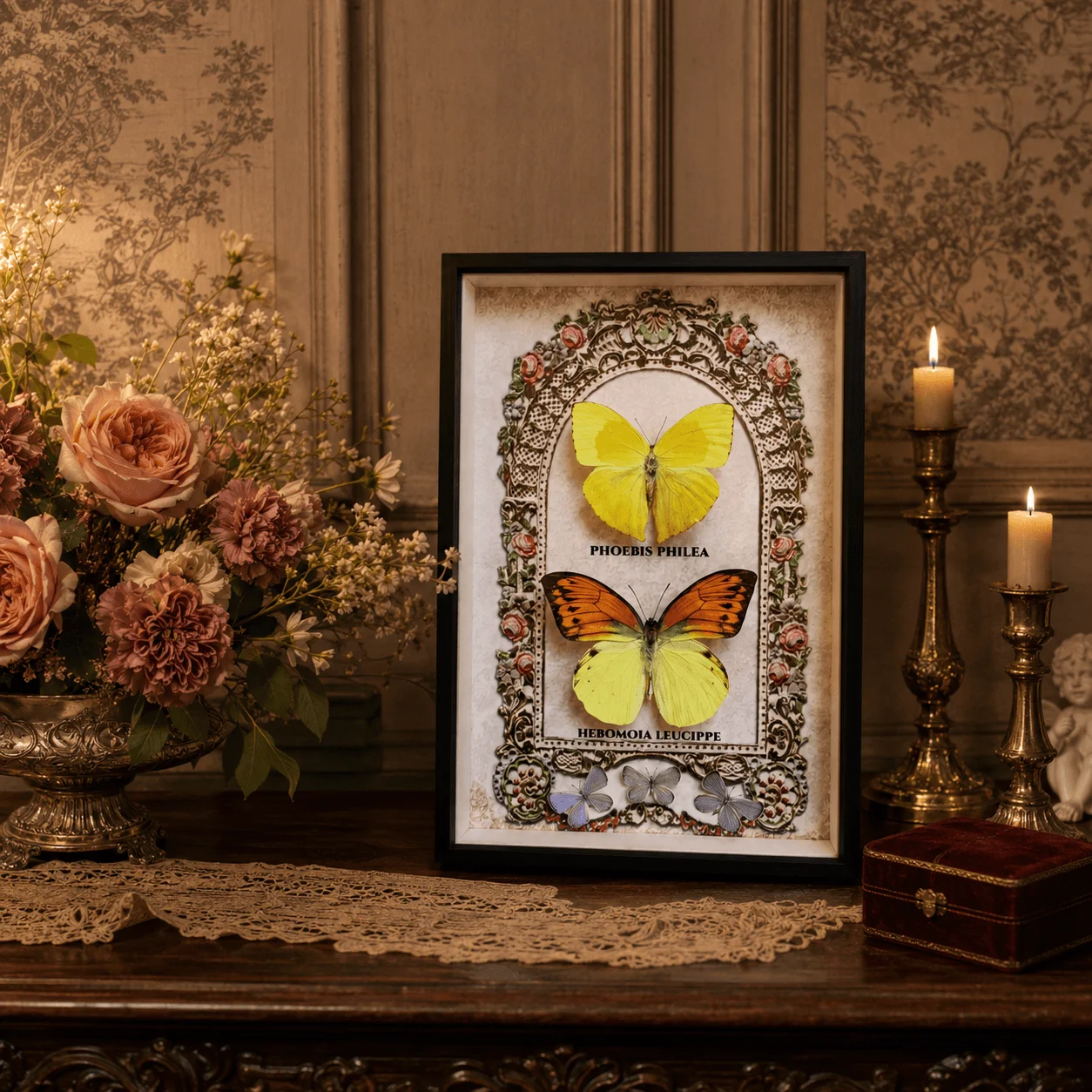 Phoebis Philea Framed Display, Artistic Composition With 3 Different Butterfly Species, French Vintage Garden Wall & Shelf Decor