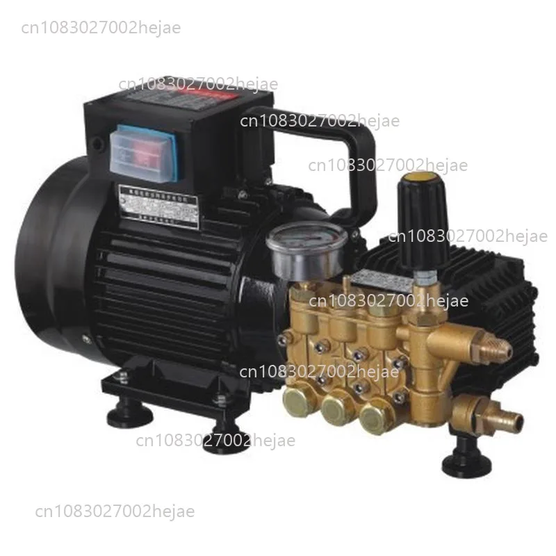 

QL-390 Ultra-High Pressure Car Washing Machine 220V/1600W Portable Household Washing Machine Water Gun Water Pump Cleaning Tool
