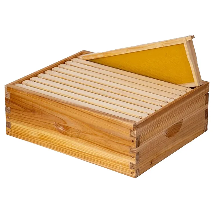 

8/10 Frames Langstroth Bee Box, Standard Honey Bee Hive Box