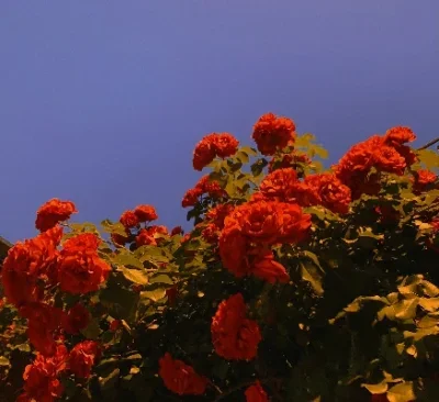 

1.9-дюймовые (75 мм) внедорожные шины для багги с 12-мм шестигранными ступицами для радиоуправляемых моделей Wltoys 144001, 1/12, 1/14, 1/10, Scx10, Trxs, Trx-4, Tamiya