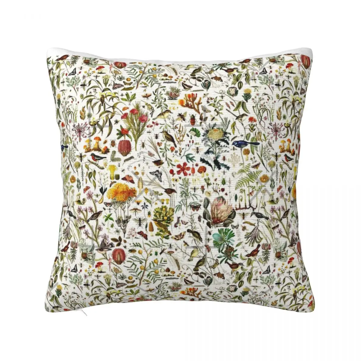 

Biology Australia Pillow Cases Decorative Cushion 45X45 Cushions Cover Pillow Case Pillow Cover