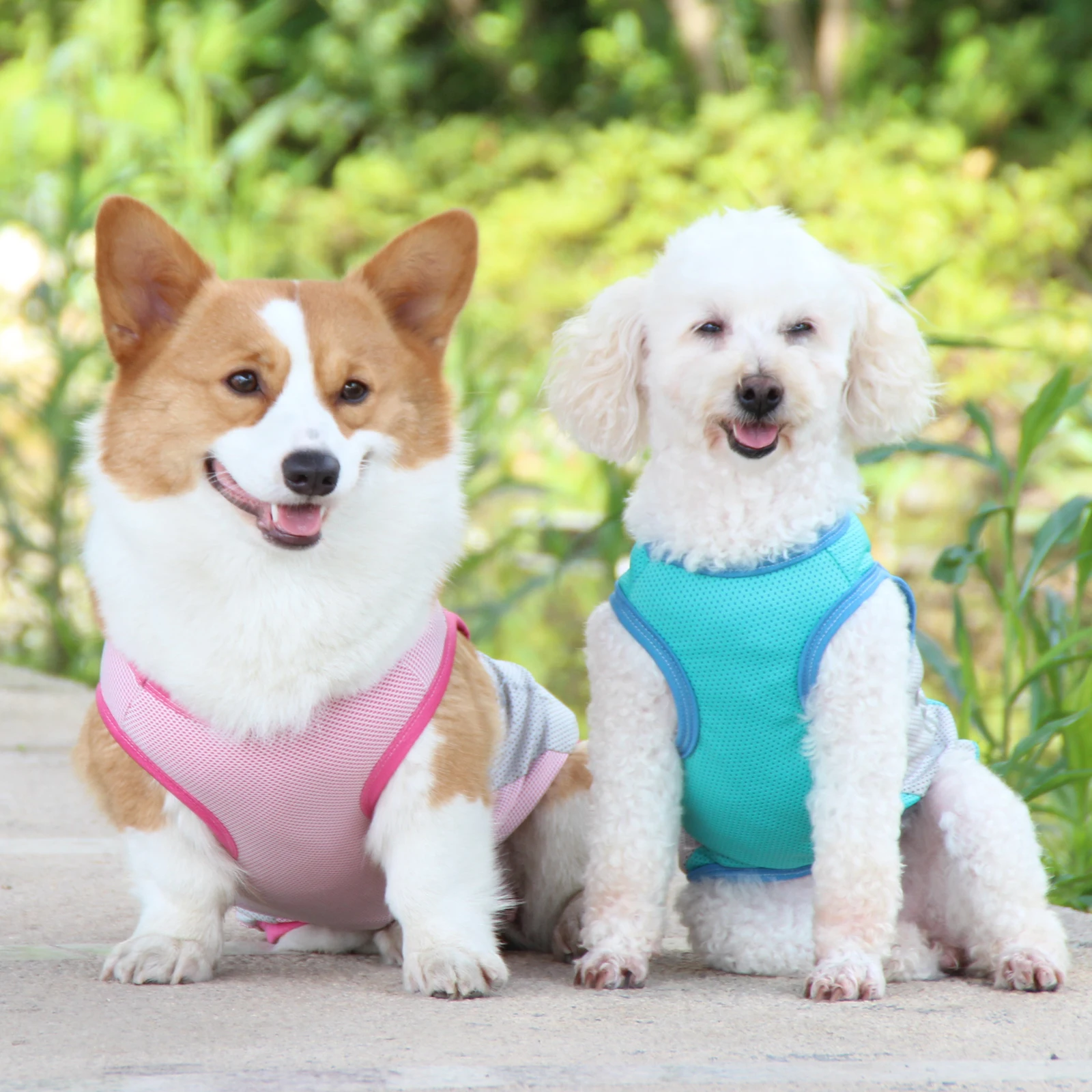 Summer Cooling Vest for Dogs, Reflective Pattern, Breathable Clothes, Pet Dog Heat Dissipation Jacket