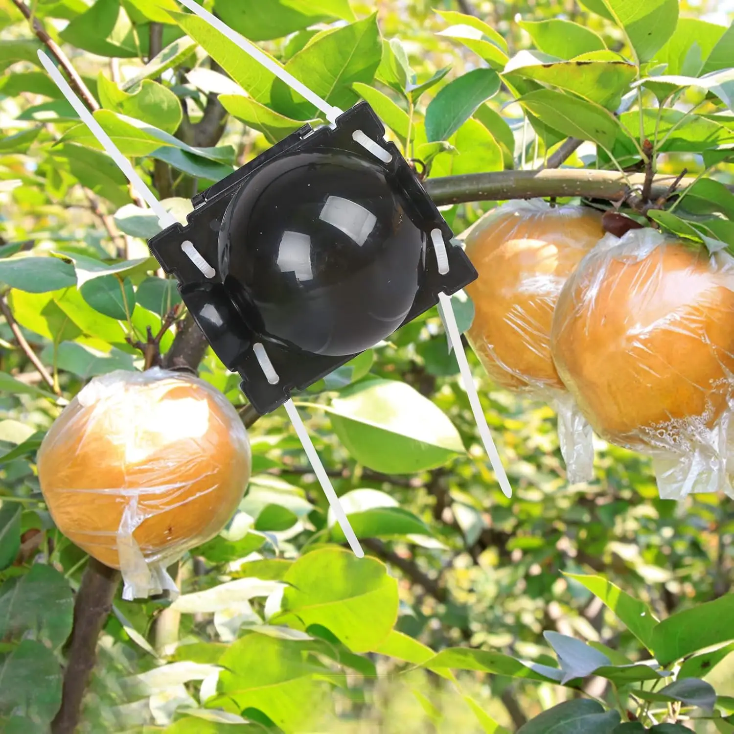 5/30Pcs Plant Rooting Ball High Pressure Propagation Root Growing Box Garden Reusable Cutting Grafting Ball Breeding Equipment gallery 4