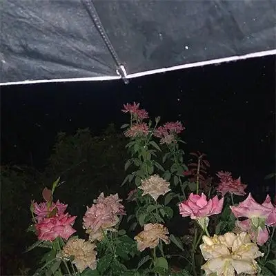 

4pcs Crawler Tires Wheel Lightweight Design 1/24 RC Crawler Tires for Axial SCX24 FMS