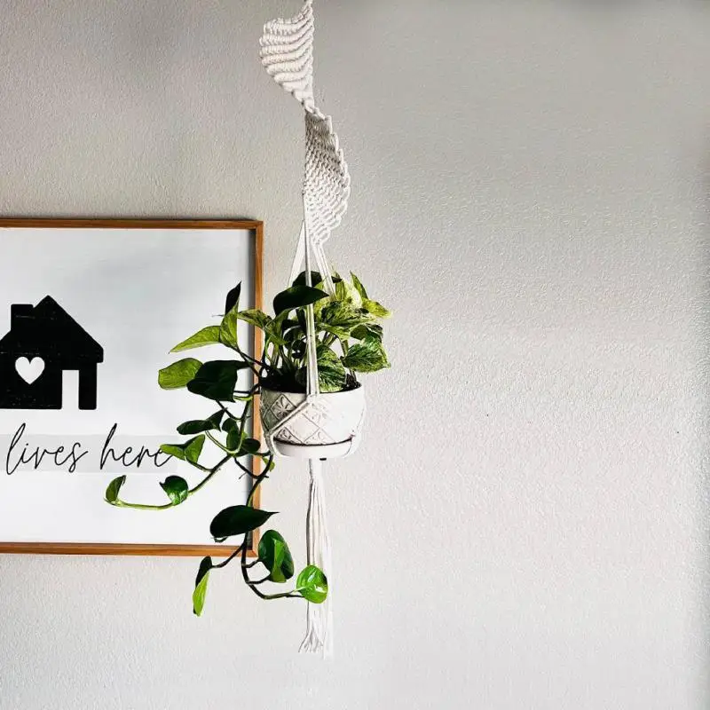 Gardening Plant Hanging Basket Handmade Cotton Rope Hanger Flower Pot Handmade Macrame Pot Pocket Wall Boho Courtyard Home Decor