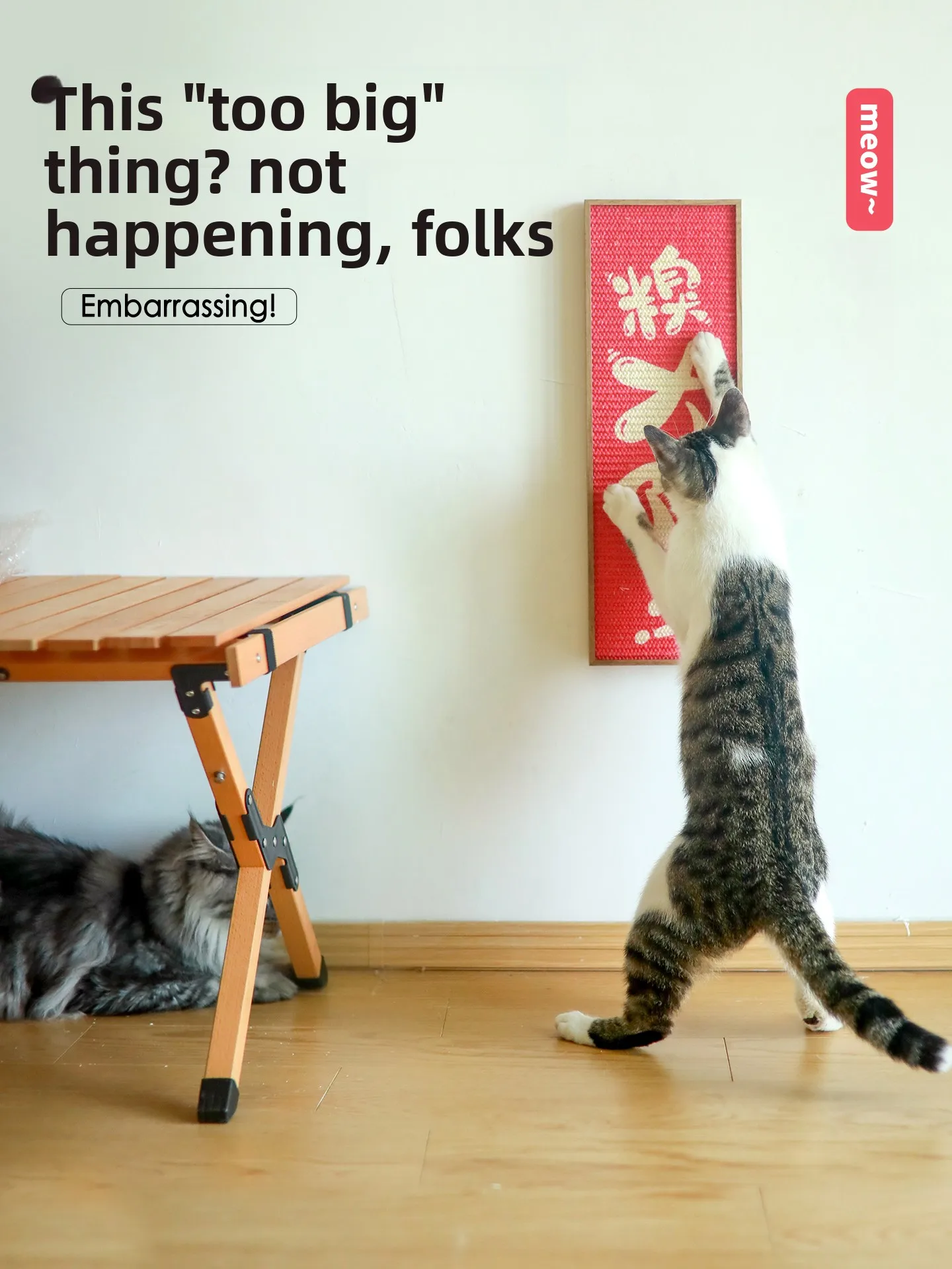 scratching-board-new-model-jute-wall-mounted-not-taking-up-space-non-slip-toy-wear-resistant-no-edding