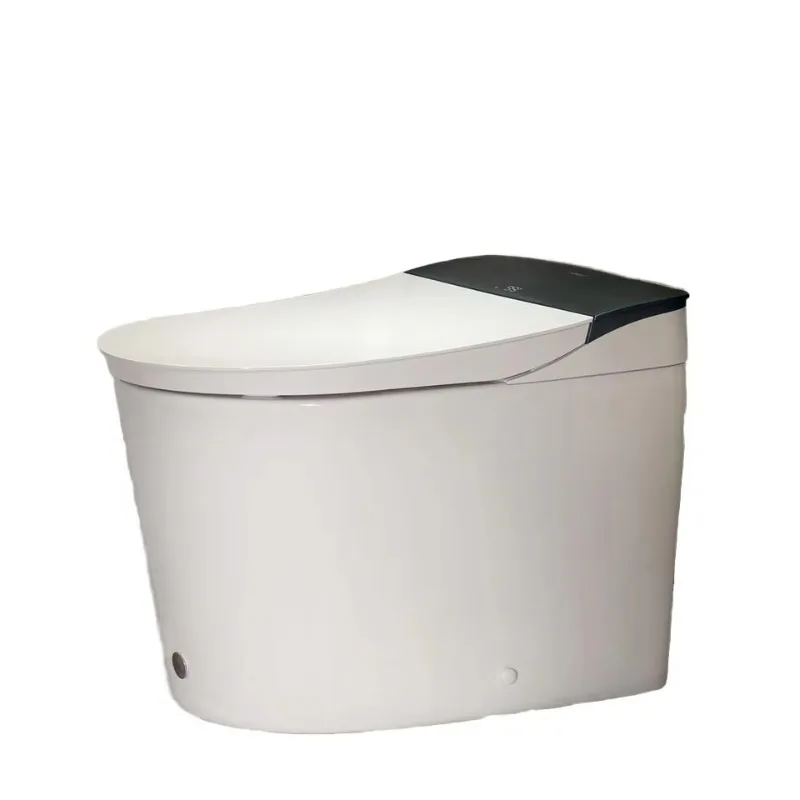 

Best-selling CANEST Smart Toilet Bidet Ceramic Built-in Foam Dispenser Auto Temp Control Heated Seat 0.1s Instant Water Full-Ar