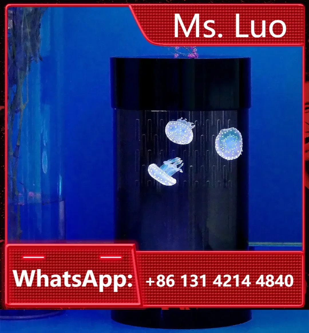 Best Amazon Sales Jellyfish Tank Home Cylinder     Art Jellyfish Aquarium Tank Home Decoration Plastic Fish Equipment 4.5L
