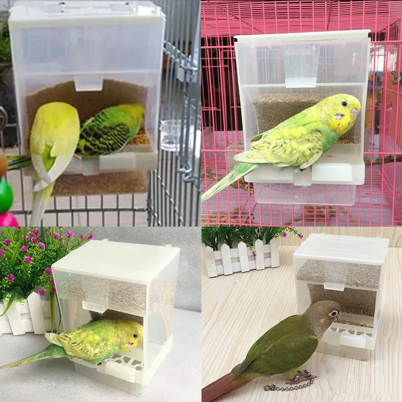 1PC Automatic Parrot Feeder Anti-Spill Transparent Bird Food Box Clear Feeding Device for Parrots Durable Bird Feeding Box - Image 2