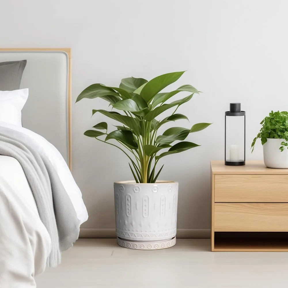 وعاء زراعة سيراميك كبير مقاس 10 بوصة مع فتحات تصريف وصحون للنباتات الداخلية والخارجية ديكور حديقة المنزل #5